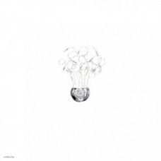 Светильник Ideallux FAVILLE AP10 000022