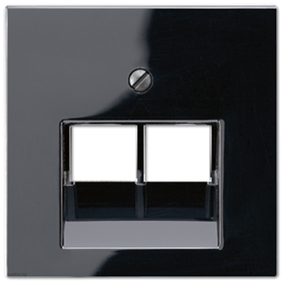 Розетка компьютерная двойная RJ45 6-й кат. EPUAE8-8UPOK6 + A569-2BFPLUASW