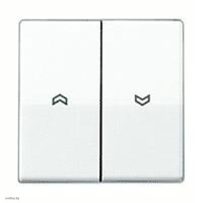 Выключатель управления жалюзи кнопочный, 10 А / 250 В~ 539VU + AS591-5PWW