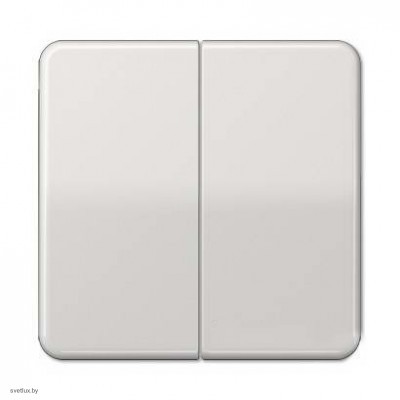 Двухклавишная кнопока без фиксации 10 А / 250 В~ 535U + CD595LG