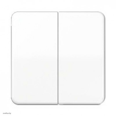 Двухклавишная кнопока без фиксации 10 А / 250 В~ 535U + CD595WW