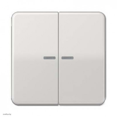 Выключатель двухклавишный с подсветкой, 10 А / 250 В~ 505u5 + CD595KO5LG