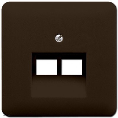 Розетка компьютерная двойная RJ45 6-й кат. EPUAE8-8UPOK6 + CD569-2UABR