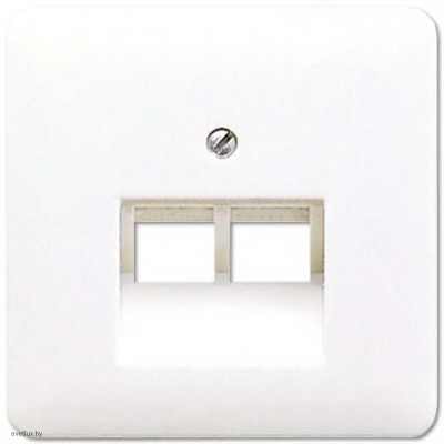 Розетка компьютерная двойная RJ45 6-й кат. EPUAE8-8UPOK6 + CD569-2UAWW