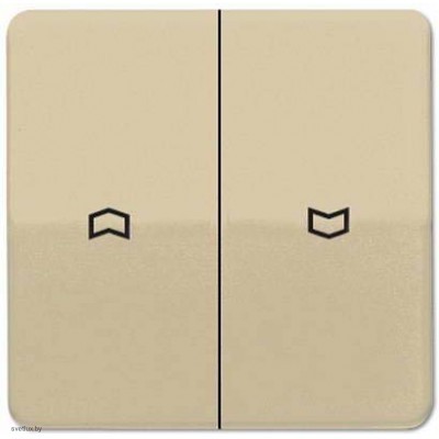 Выключатель управления жалюзи клавишный, 10 А / 250 В~ 509VU + CD595PGB