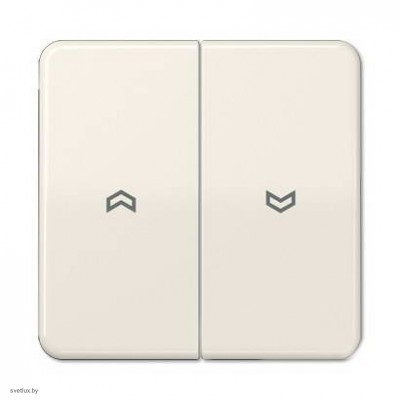 Выключатель управления жалюзи кнопочный, 10 А / 250 В~ 539VU + CD595P