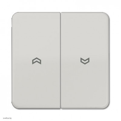 Выключатель управления жалюзи кнопочный, 10 А / 250 В~ 539VU + CD595PLG