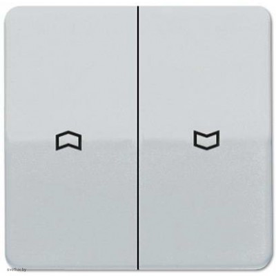 Выключатель управления жалюзи кнопочный, 10 А / 250 В~ 539VU + CD595PPT