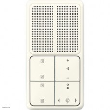 Радиоприемник CD 500 c рамкой, слоновая кость RANCDM514W