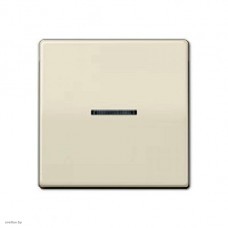 Jung  ECO Profi Клавиша для выключателя с окошком для подсветки, алюминий EP490KOAL