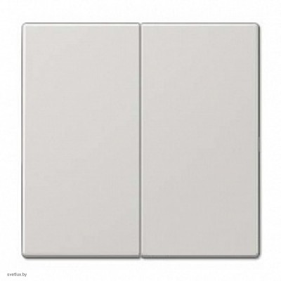 Самовозвратный выключатель сдвоенный проходной 10 А / 250 В~ 509tu + LS995LG