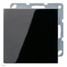 Заглушка с опорной пластиной LS994BSW