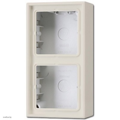 Коробка двойная для накладного монтажа LS слоновая кость LS582AW