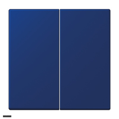 Самовозвратный выключатель сдвоенный проходной 10 А / 250 В~ 509tu + LC9904320T