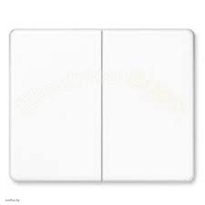 Самовозвратный выключатель сдвоенный проходной 10 А / 250 В~ 509tu + sl595ww