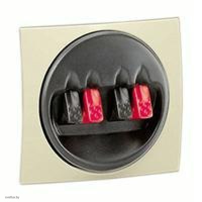 Розетка для стерео-громкоговорителя Legrand Valena (слоновая кость) 774324