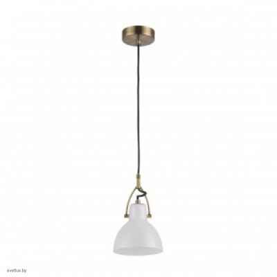 Светильник Maytoni DANIEL MOD407-PL-01-BZ