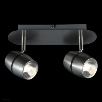 Светильник Maytoni MESON ECO004-02-N