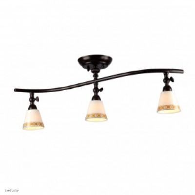 Светильник Maytoni SPOT 1 ECO001-03-R