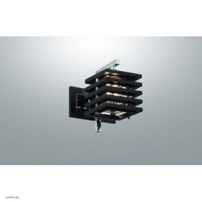 Светильник Odeon Light 1251/1W