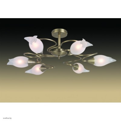 Светильник Odeon Light 1319/6