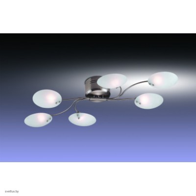 Светильник Odeon Light 1376/6C