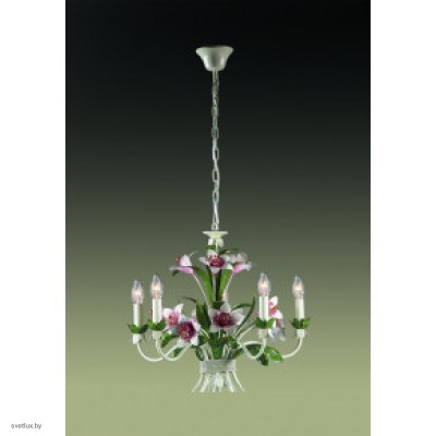 Светильник Odeon Light 1511/5