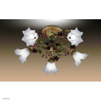 Светильник Odeon Light 1599/5