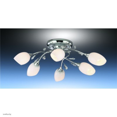 Светильник Odeon Light 1603/6