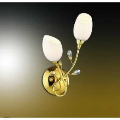 Светильник Odeon Light 1604/2W