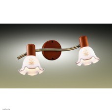 Светильник Odeon Light 1977/2W