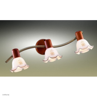 Светильник Odeon Light 1977/3W