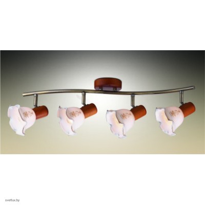 Светильник Odeon Light 1977/4W