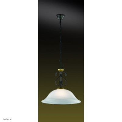 Светильник Odeon Light 1995/1