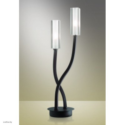 Светильник Odeon Light 2010/2T