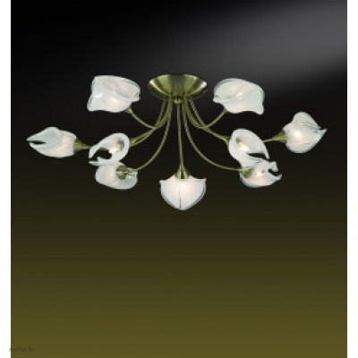 Светильник Odeon Light 2049/9C