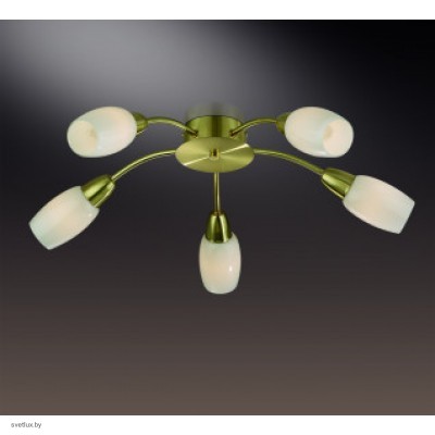 Светильник Odeon Light 2067/5C