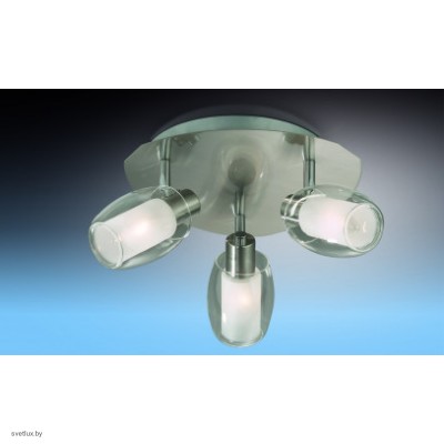 Светильник Odeon Light 2069/3C