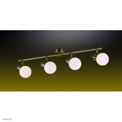 Светильник Odeon Light 2071/4W