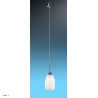 Светильник Odeon Light 2174/1