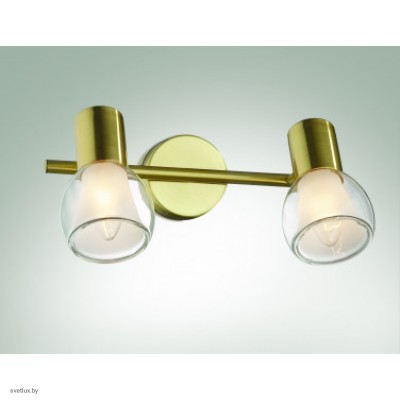 Светильник Odeon Light 2176/2W