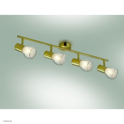 Светильник Odeon Light 2176/4W