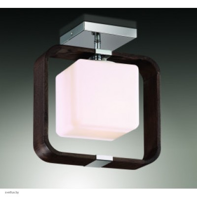 Светильник Odeon Light 2199/1C