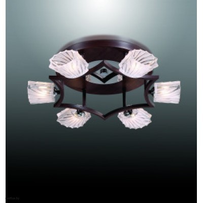 Светильник Odeon Light 2236/6C