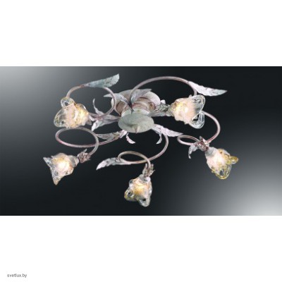 Светильник Odeon Light 2241/5C