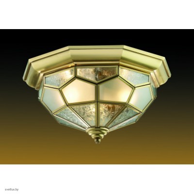 Светильник Odeon Light 2271/2C