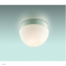 Светильник Odeon Light 2443/1B