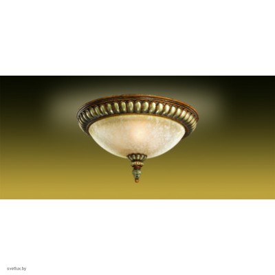 Светильник Odeon Light 2455/3C