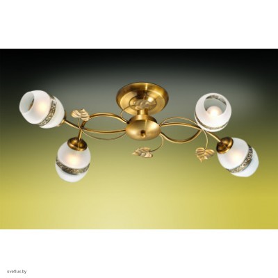 Светильник Odeon Light 2458/4