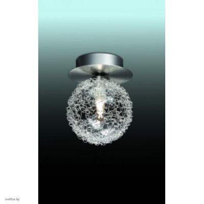 Светильник Odeon Light 2460/1C